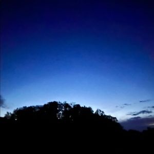 Meet your Posher, jetson